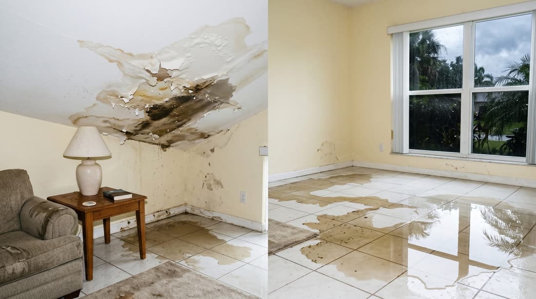 Mold & Environmental Damage